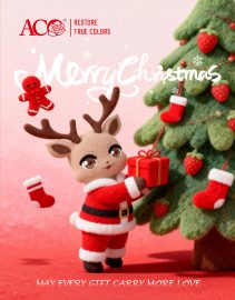 Merry Christmas from ACO 🎄✨